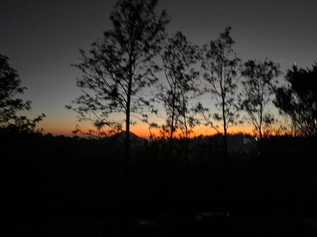 The Clover Resorts Yercaud Zewnętrze zdjęcie
